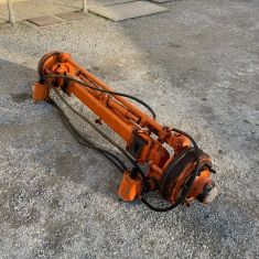 ASSALE STERZANTE OMAS