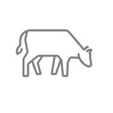 Attrezzatura Zootecnica