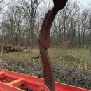 whatsapp image 2026 03 10 at.28.41