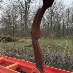 whatsapp image 2026 03 10 at.28.41